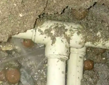 贡山测漏水多少钱