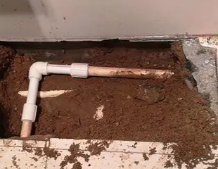 贡山测漏水哪家好