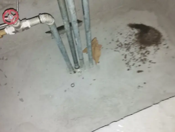 贡山卫生间测漏水价格明细