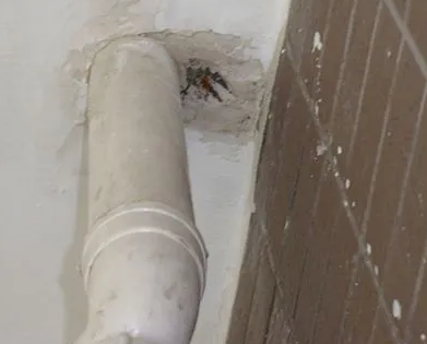 贡山漏水检测哪家好